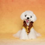Let your pet embrace cozy comfort and playful charm with the Cartoon-Inspired Fleece Pet Coat. Made from soft, warm fleece in an eye-catching brown and yellow palette, this coat features a fun button-up design and adorable cartoon-inspired details. The hood adds extra warmth for chilly days, while the tailored fit ensures comfort and easy movement. Perfect for winter walks, holiday gatherings, or just lounging at home in style, this coat is an ideal choice for pets who love a touch of whimsy in their wardrobe.