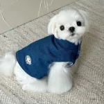 Sleek and stylish, the Minimalist Denim Pet Vest is the perfect addition to your pet’s wardrobe. Featuring a clean denim design with a charming embroidered patch, this vest is lightweight yet cozy, ideal for autumn walks and chilly winter outings. Its tailored fit ensures maximum comfort and mobility, while the simple pullover style makes it easy to wear. Whether you’re heading out for a stroll or snapping adorable photos, this vest combines functionality with understated elegance. Pair it with complementary accessories for a polished look that suits any occasion.